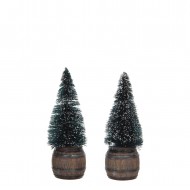 Tree in Barrel, 2 pieces, H12cm Tree in Barrel, 2 pieces, H12cm